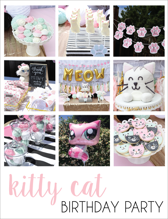 kitty cat birthday party!