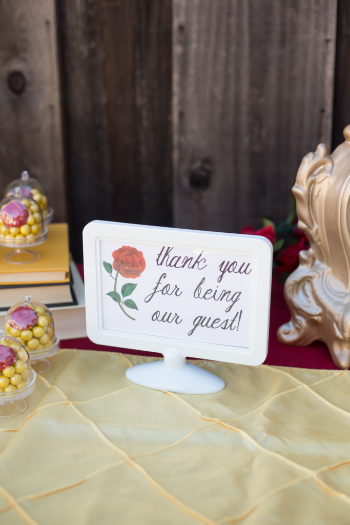 beauty and the beast birthday party