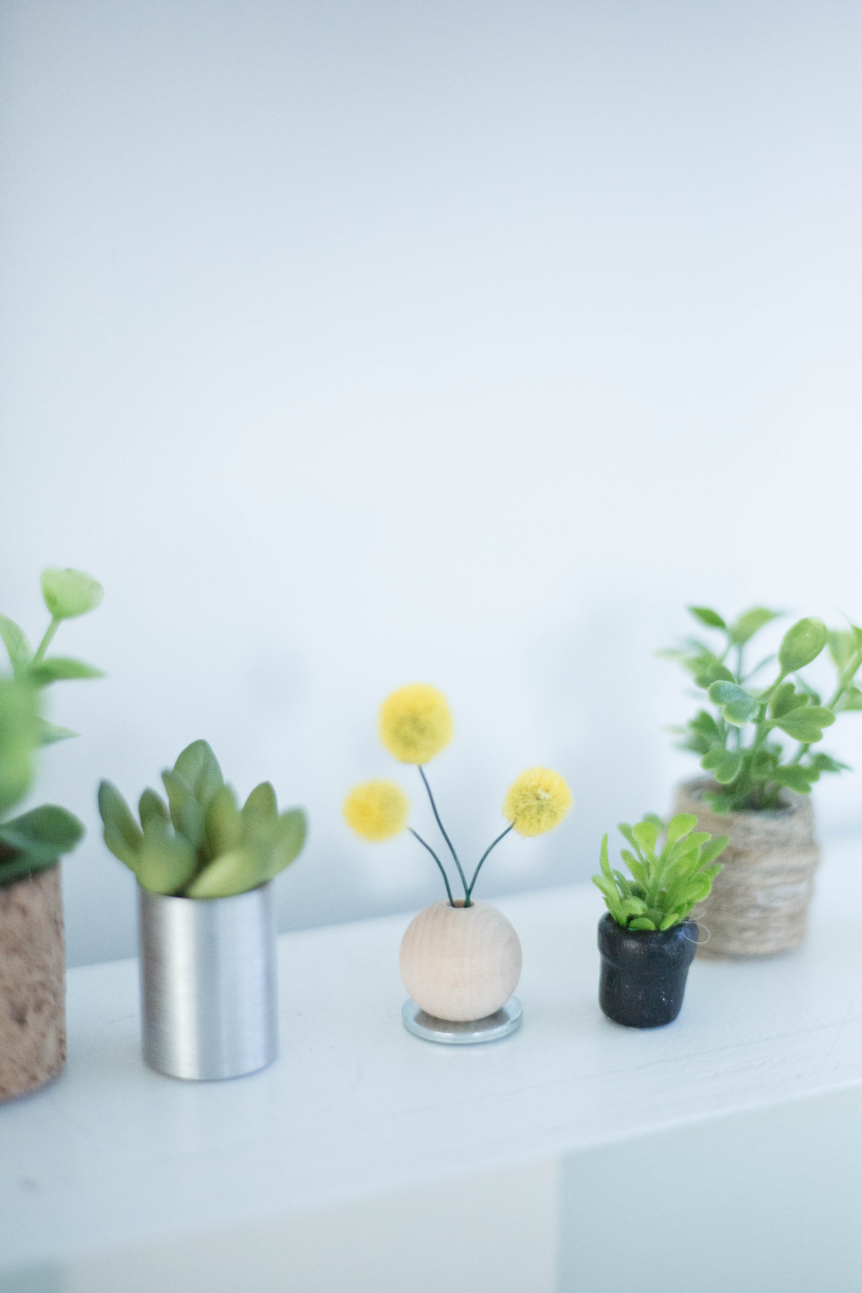 Diy miniature plants shop